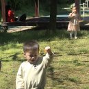 과학아 과학아 어디에 있니? 이미지