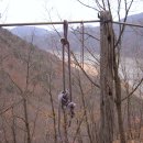 원동달팽이 이미지