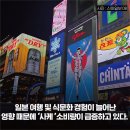 카드홀릭 신아일보