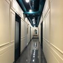 디오픈스크린골프존 이미지