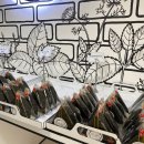 미상주먹김밥 이미지