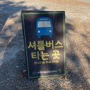 느티나무마을 | 안동 하회마을 여행기｜쌀쌀한 날씨에도 힐링 산책, 삼신당 오래된 느티나무