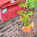 대구도시철도공사 정평역 | 2025년 하반기 한국철도공사 열차승무 최종 합격 후기