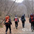 용대자연휴양림 이미지