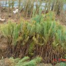 노을공원4 이미지