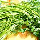 정우농원 이미지