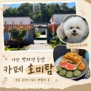 견제과 | 아산 반려견 동반 카페 호미탐 - 전용 공간이 있어 편했던 곳