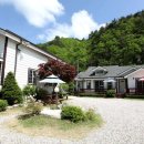 얼레지펜션 이미지