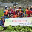 김화농업협동조합 이미지