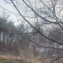 부곡가든 이미지