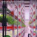 인구농장 이미지