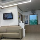 김태숙소아과 네이버블로그