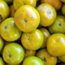 장성농장 이미지