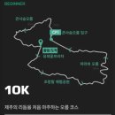 상주중학교 | 2026 제주오름 트레일런 살로몬 감다살 10K 후기