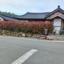 약산한옥민박 이미지