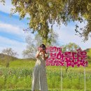 초동연가길 화장실1 | 10월 밀양 가볼만한곳 밀양 초동연가길 코스모스 실시간