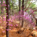 백양산 등산로 이미지