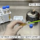 G4398 이미지