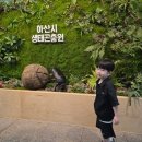 아산굼벵이 | 아산 곤충생태원 + 전망대까지 다녀온 후기ㅣ 아이랑 나들이 코스