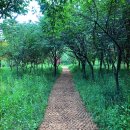 라온혜윰힐링센터 이미지