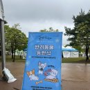 연천고인돌공원 | 경기도 연천 개꿀잼 구석기 축제 후기, 가격 (반려동물 동반 가능)