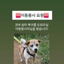 (오늘 18시 이후~)🆘️코비 이동봉사 요청🆘️ 굿모닝병원 -＞ 쉼터(완료) 이미지