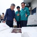 태안군, 서해안 대표 오징어 연일 만선으로 활기 찾아 (태안타임즈) 이미지
