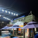 성산포 | 🌊 제주 여행의 맛과 힐링, 그리운 바다 성산포 후기
