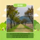 박준덕부부효열각 이미지