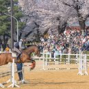 경마공원대로 이미지