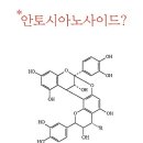 (주)네츄럴굿띵스 이미지