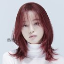 메를로헤어
