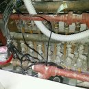 삼성장미 이미지