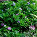 13월의아침 이미지