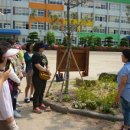 죽도초등학교 이미지