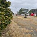 블루오션리조트홀리데이파크 이미지