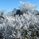 신산(神山)의 설경(雪景) - 한라산 상고대와 눈꽃 체험 이미지
