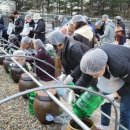 장단콩웰빙마루 이미지