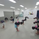 합기도 일산도장 이미지