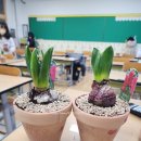 예천늘봄 이미지