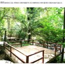 이륙공인중개사사무소 이미지