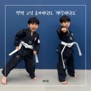 하나태권도체육관 | 평택 고덕 해창태권도 유아태권도 어린이 태권도 추천