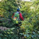 용포주유소 이미지