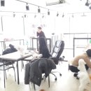 미니펫샵 - 강남구 언주로79길 5 | 미니펫샵