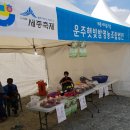 운주햇빛밤영농조합 | 세종시마을기업특설판매장터 개장(세종축제행사장)