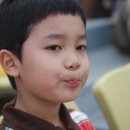 박희건 카카오 검색결과