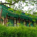 탁곡 | &#34;조선 제일의 황룡이라” 장성 요월정(邀月亭)1