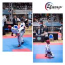 Korea Taekwon Do(코리아 태권도) | [공지] [보은태권도/본태권도]입관안내 및 지도진