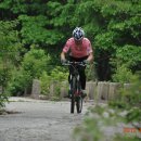 우면산6-13 이미지