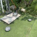 펠리스빼로 이미지